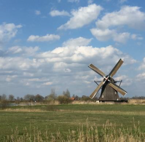 https://lingelandschap.nl/opnieuw-plannen-voor-bosaanplant-in-natuurgebied-de-steendert/