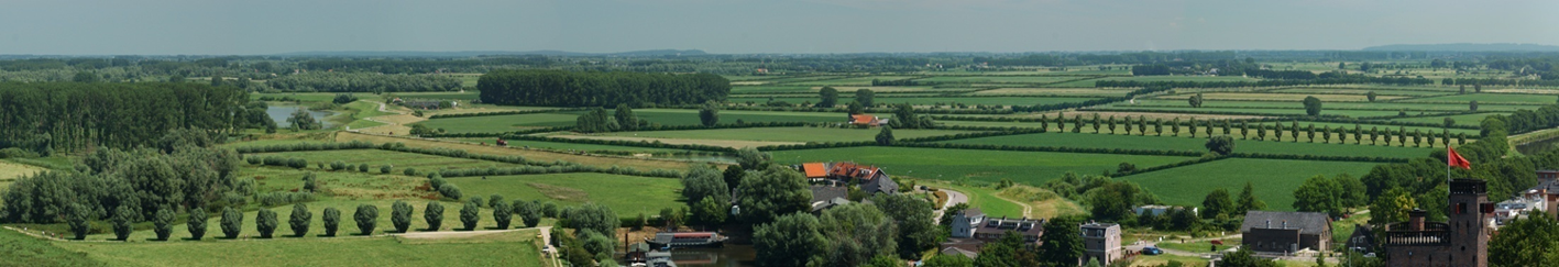 https://lingelandschap.nl/herstel-van-het-cultuurlandschap-centraal/