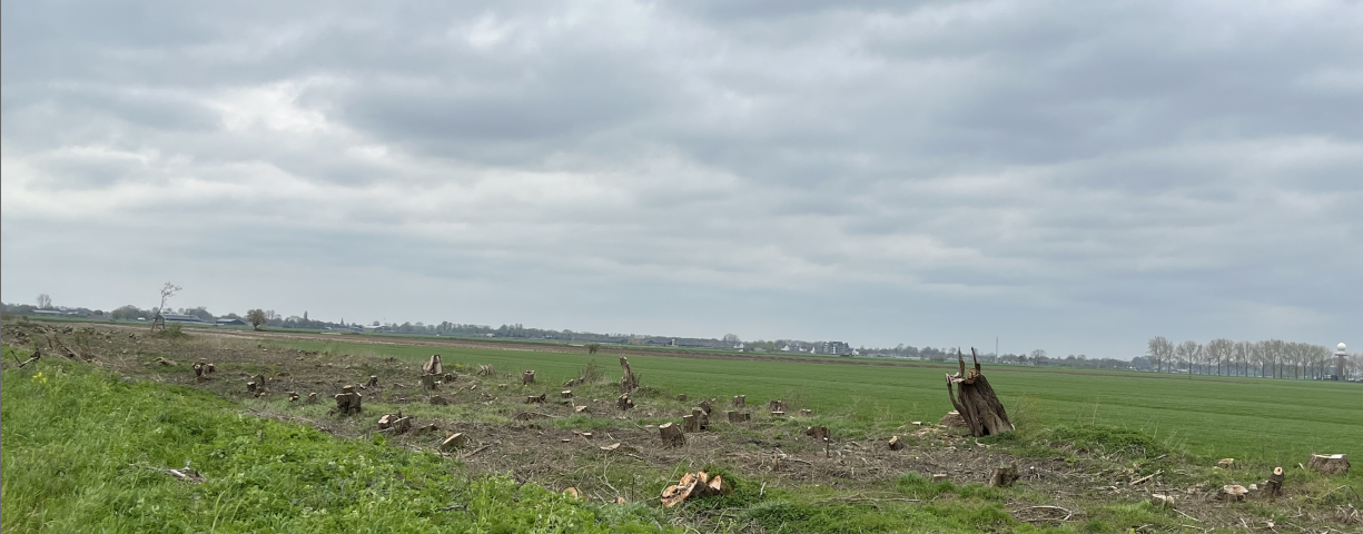 https://lingelandschap.nl/natuur-en-landschap-onder-druk/