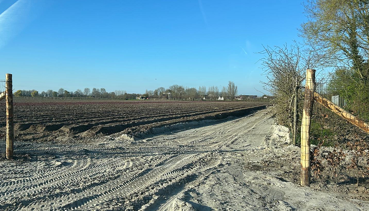 https://lingelandschap.nl/pioenrozen-als-paard-van-troje/